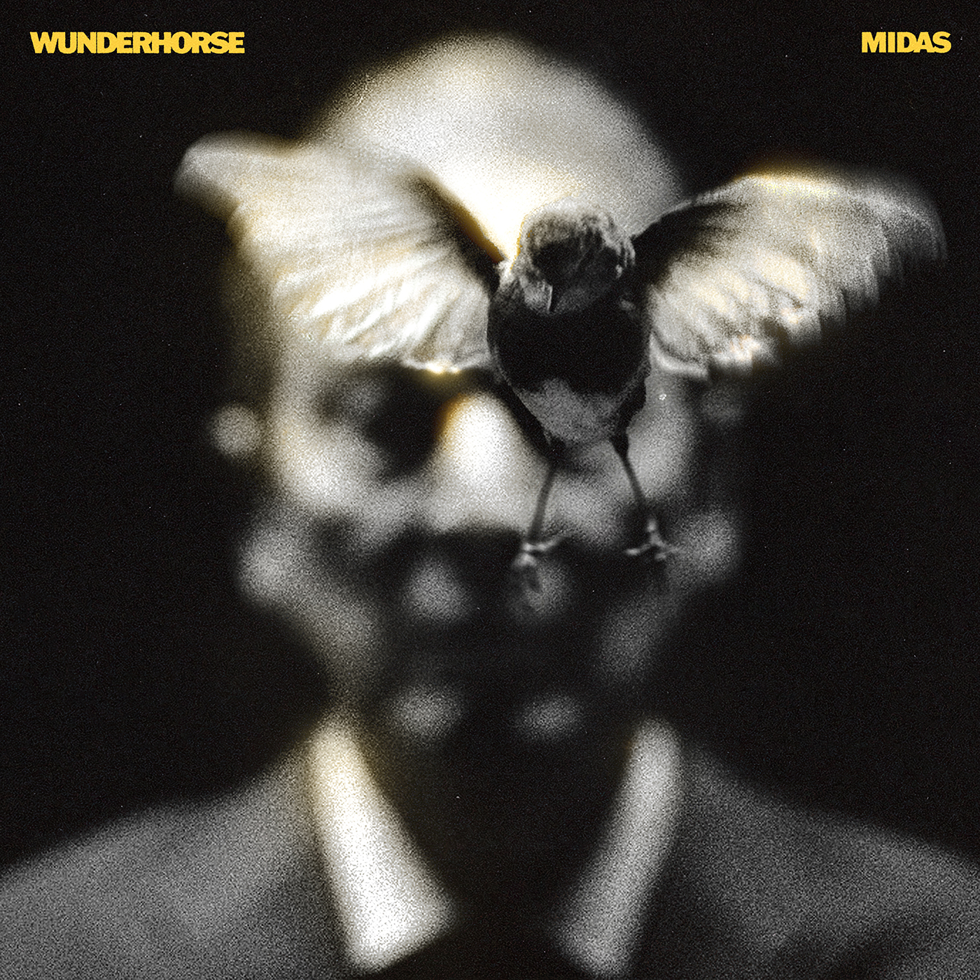 Wunderhorse ‘Midas’ album cover